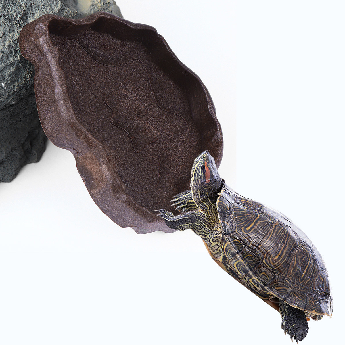 Reptile Resin Food Dish Coffee - Water Dish Reptile review and price