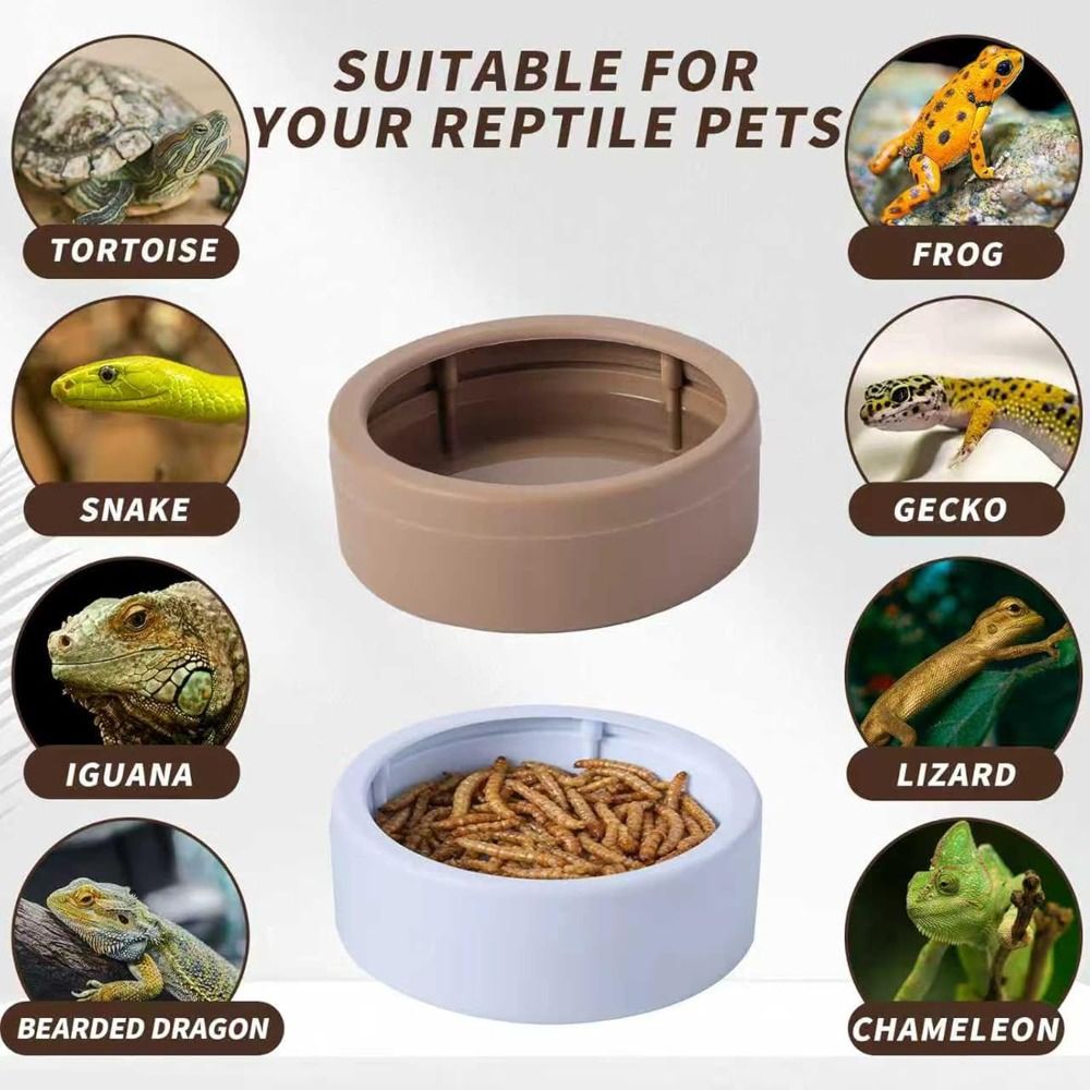 Portable Escape-Proof Reptile  - Water Dish Reptile review and price