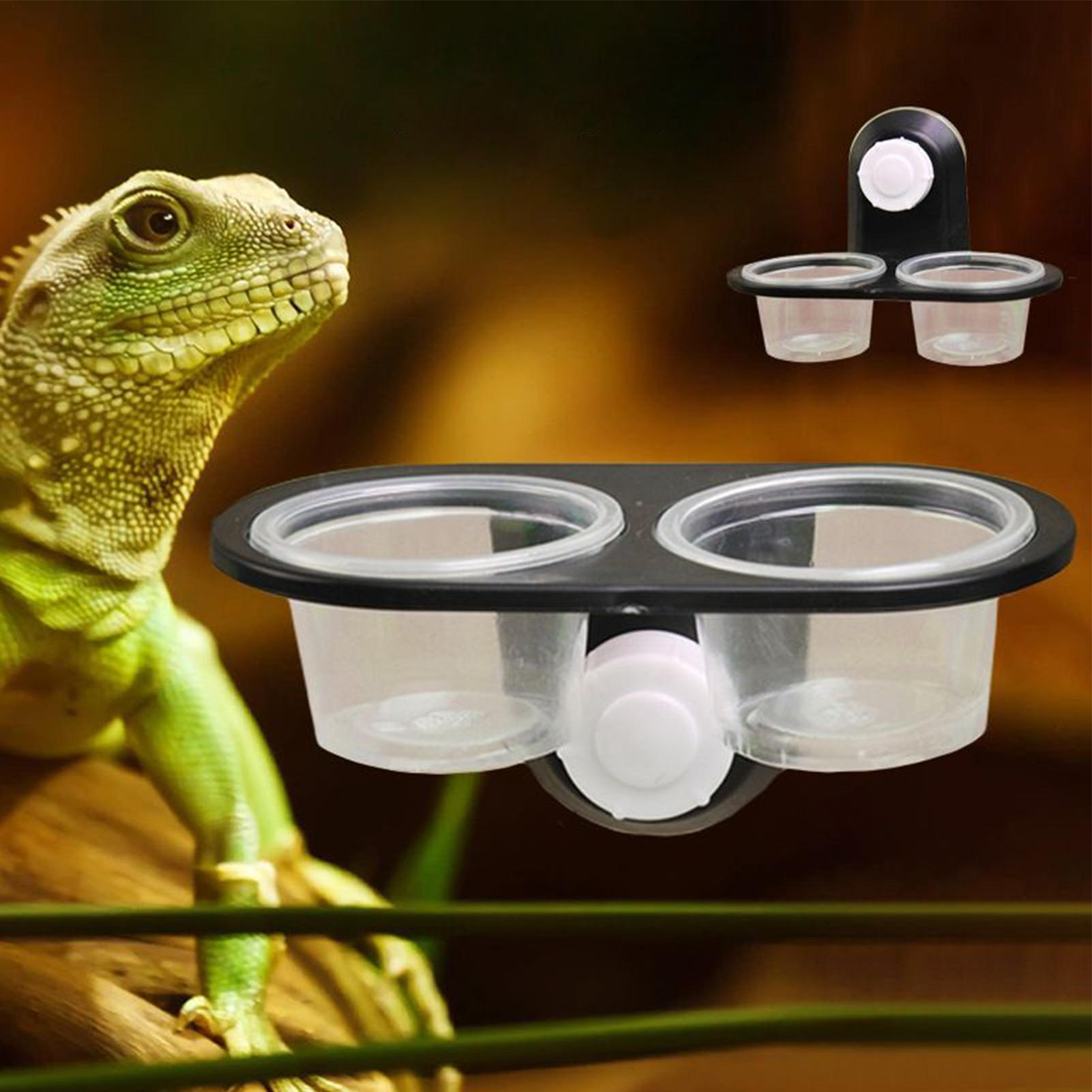 Food Bowl Water Dispenser Geck - Water Dish Reptile review and price