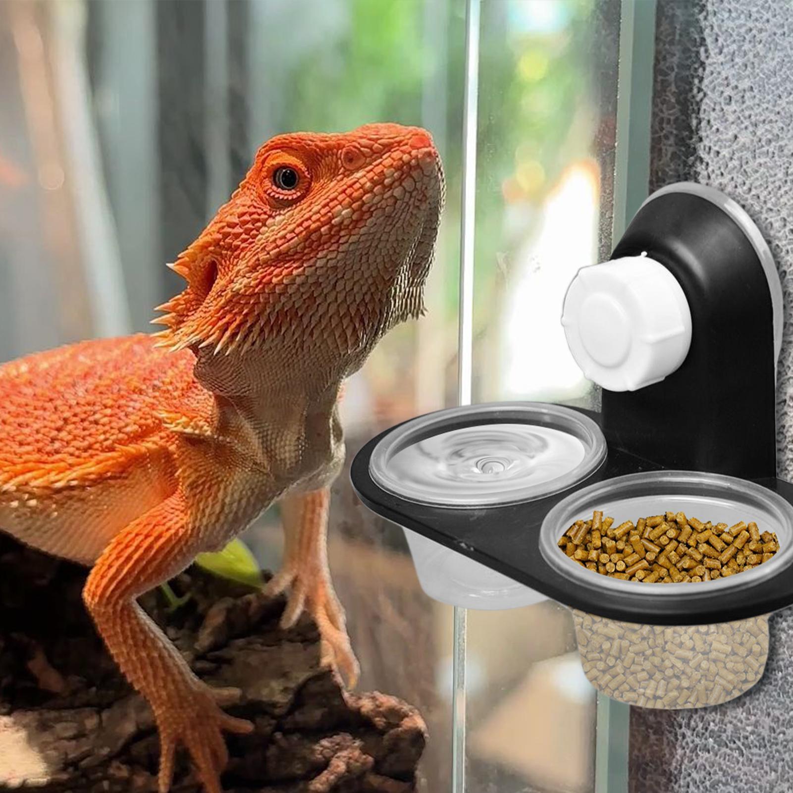 Food Bowl Water Dispenser Geck - Water Dish Reptile review and price