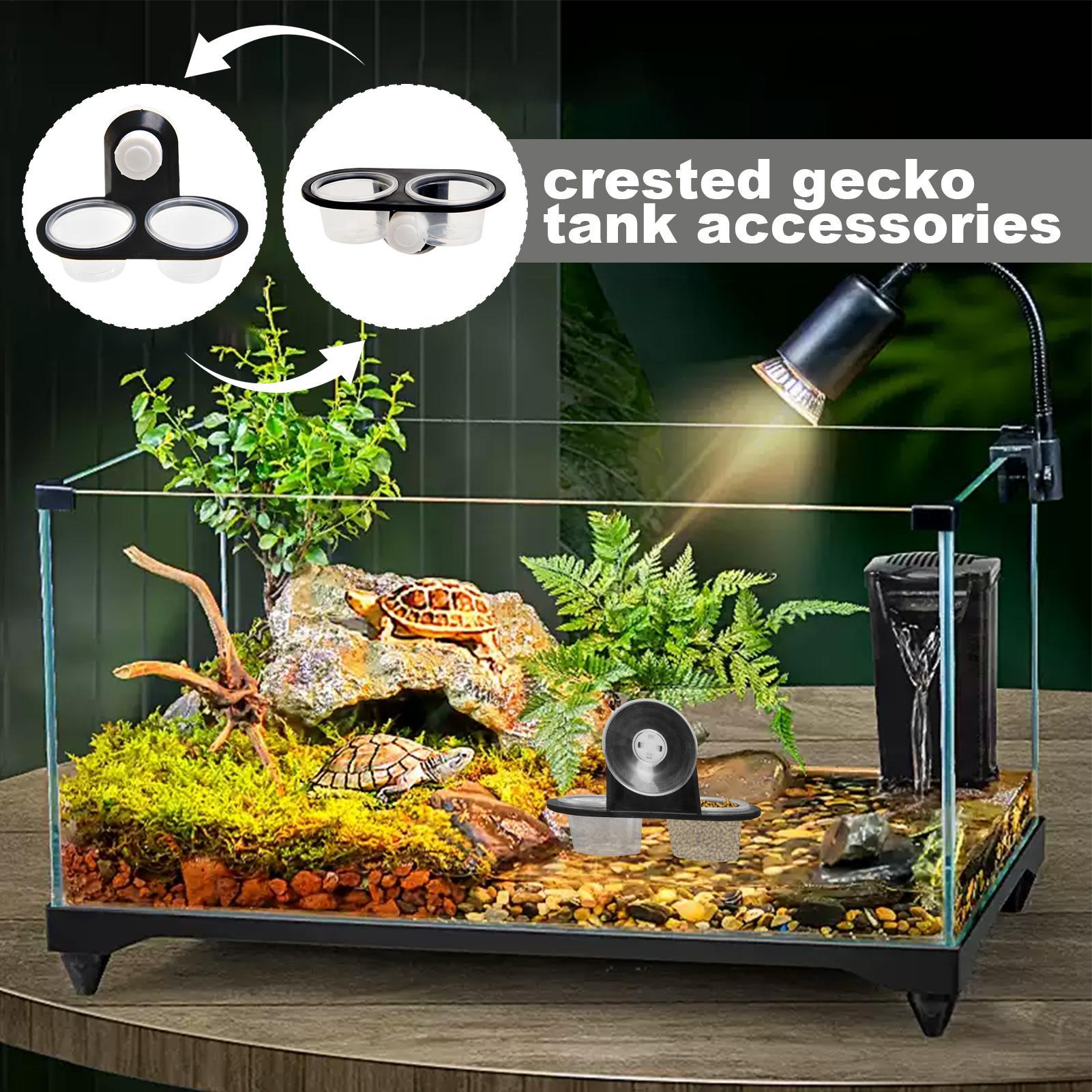 Food Bowl Water Dispenser Geck - Water Dish Reptile review and price