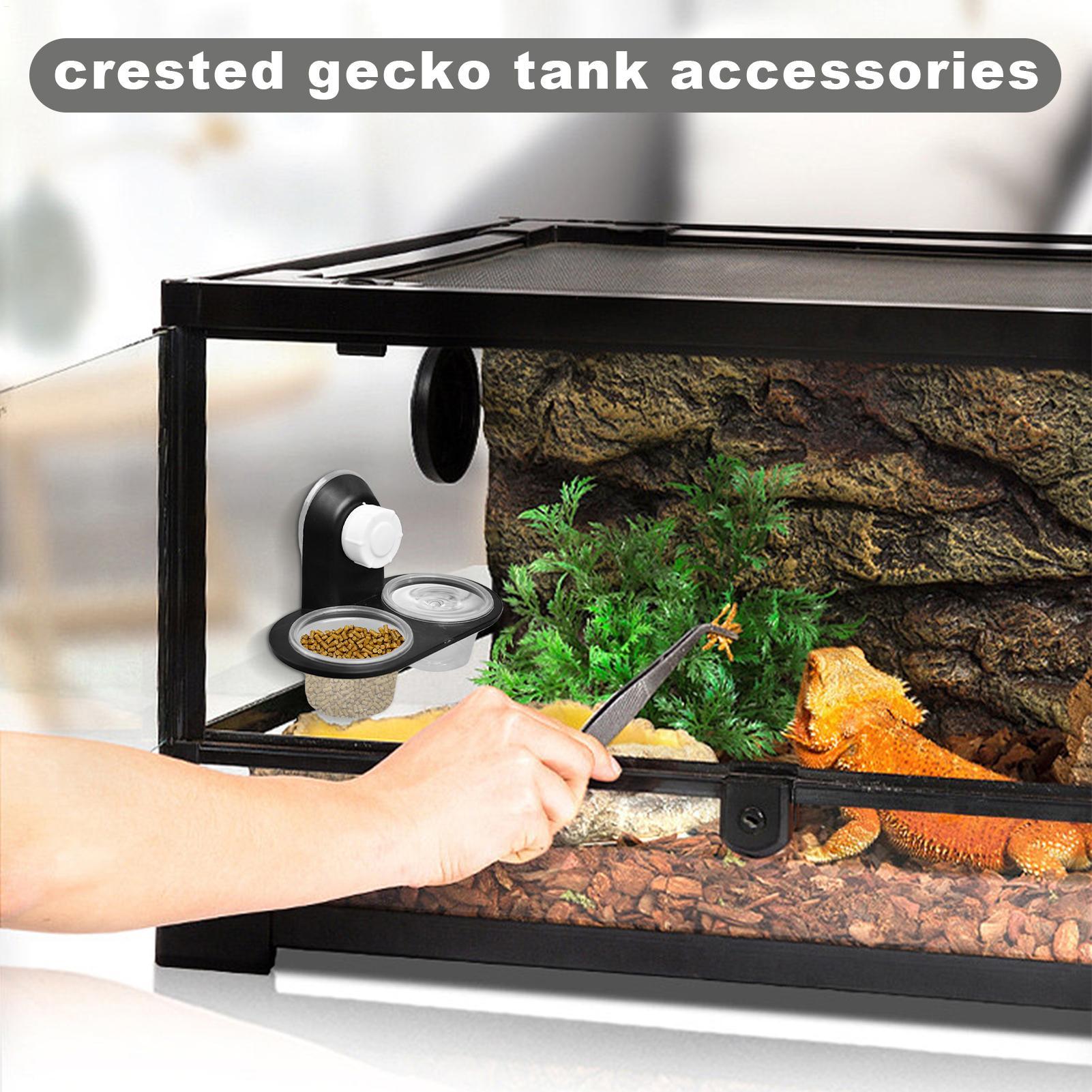 Food Bowl Water Dispenser Geck - Water Dish Reptile review and price