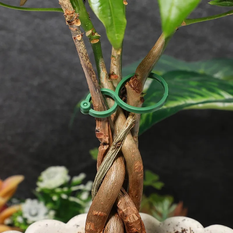 50-400Pcs Plant Support Clips  - Vine Climbing Plastic review and price