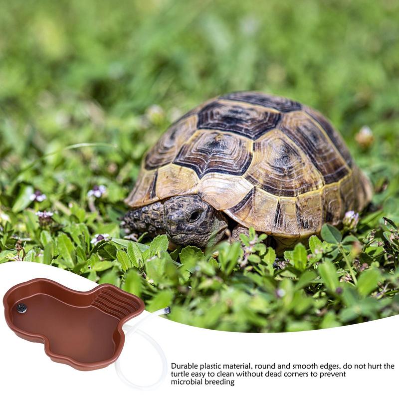 Turtle Feeding Dish Reptile Ba - Water Dish Reptile review and price