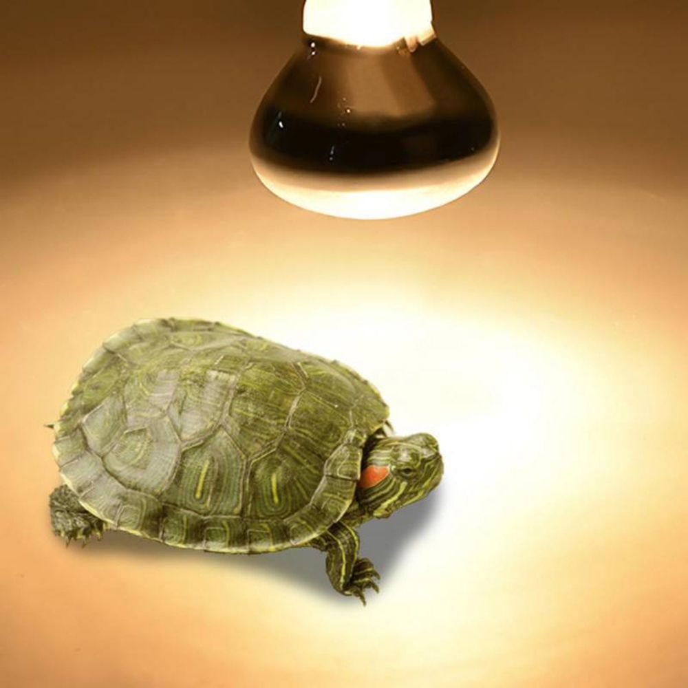 Turtle Heat Lamp Heater Haloge - Basking Bulb Halogen review and price
