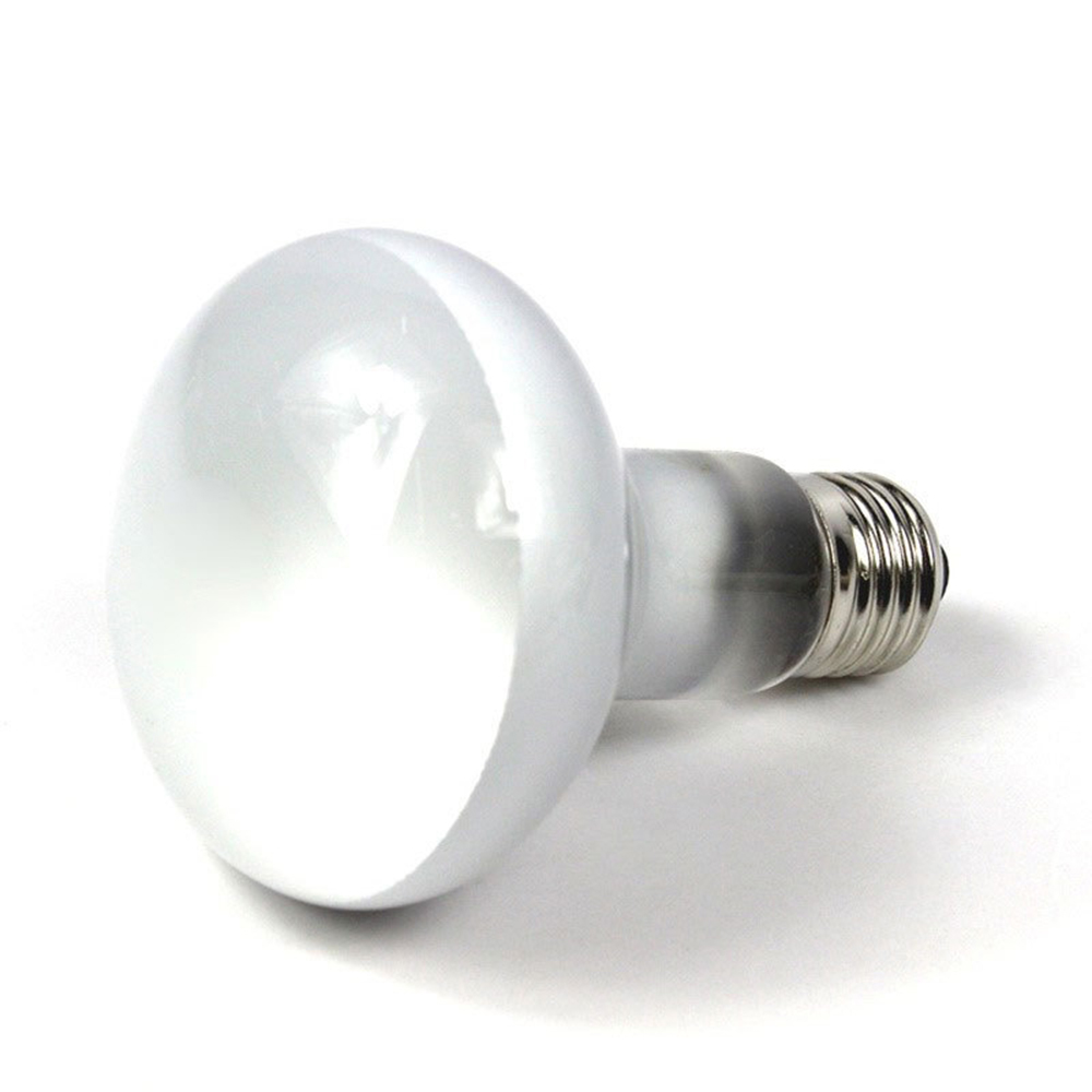 Turtle Heat Lamp Heater Haloge - Basking Bulb Halogen review and price