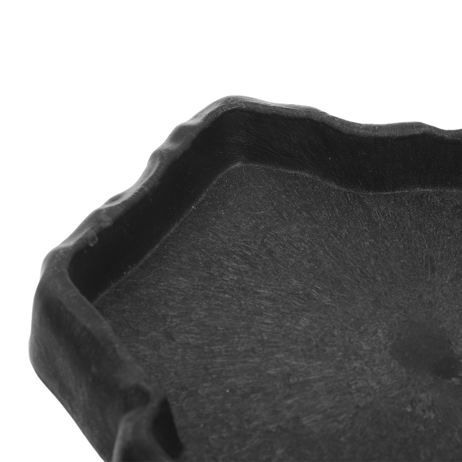 Natural Rock Reptile Feeder Bo - Water Dish Reptile review and price