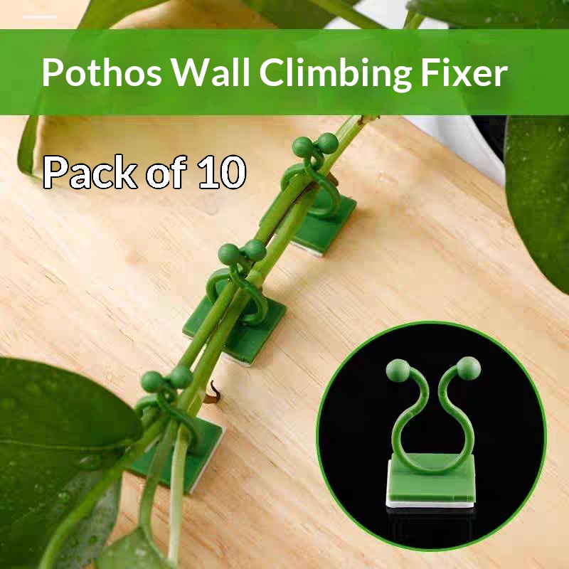 Self‑Adhesive Plant Climbing W - Vine Climbing Plastic review and price