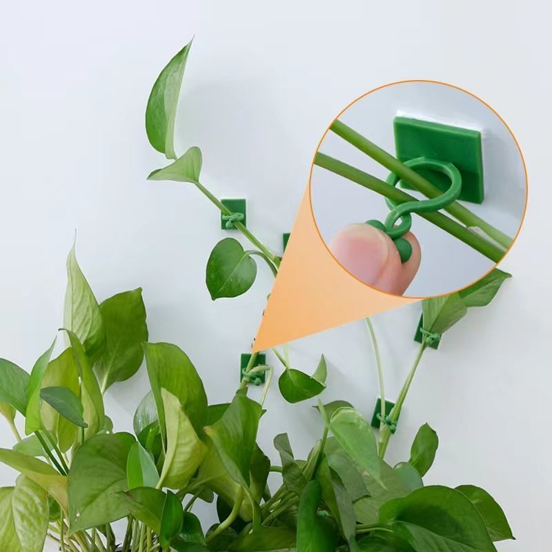Self‑Adhesive Plant Climbing W - Vine Climbing Plastic review and price