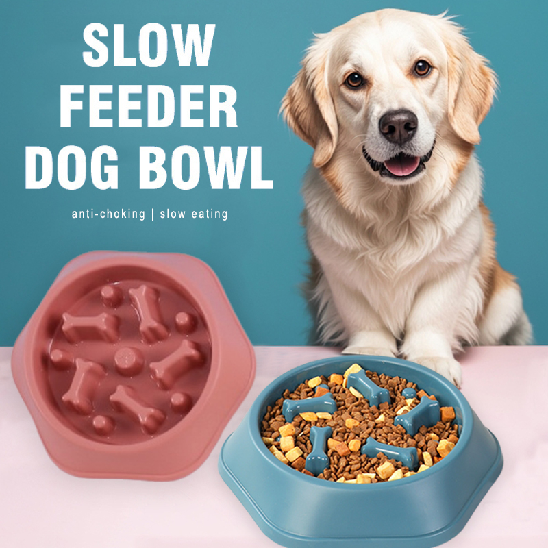 Slow Feeder Dog Bowl Anti-chok - Royal Canin Food Medium review and price