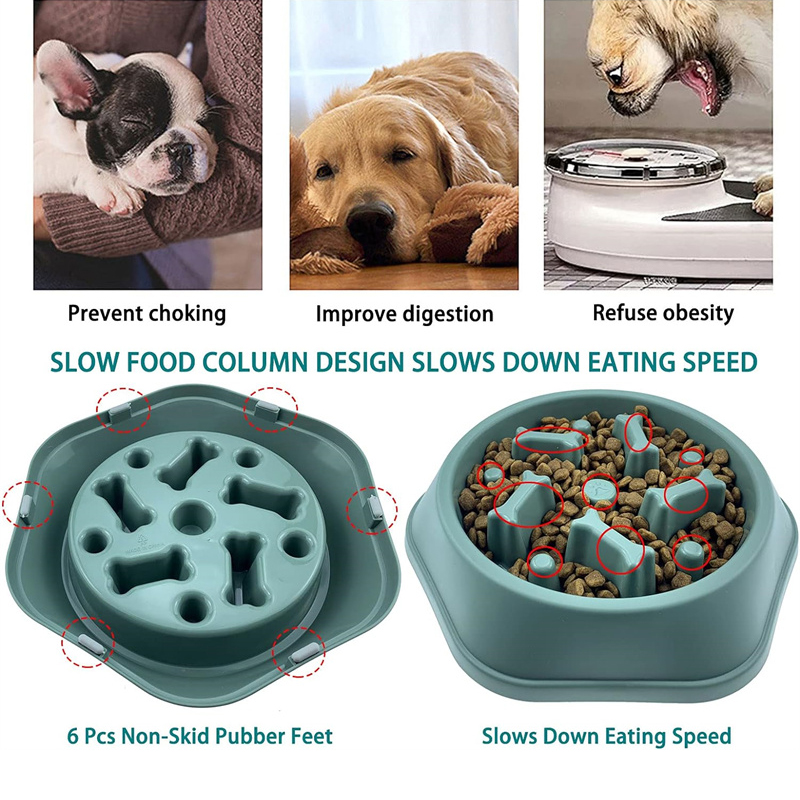 Slow Feeder Dog Bowl Anti-chok - Royal Canin Food Medium review and price