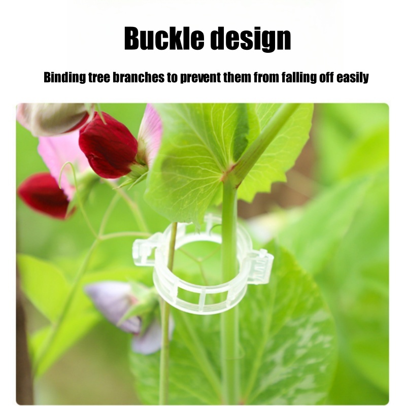 500Pcs Plastic Plant Support C - Vine Climbing Plastic review and price