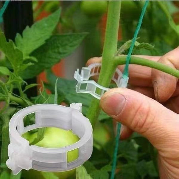 500Pcs Plastic Plant Support C - Vine Climbing Plastic review and price