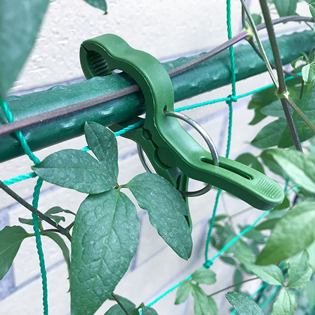 60Pcs Plant Support Clips for  - Vine Climbing Plastic review and price