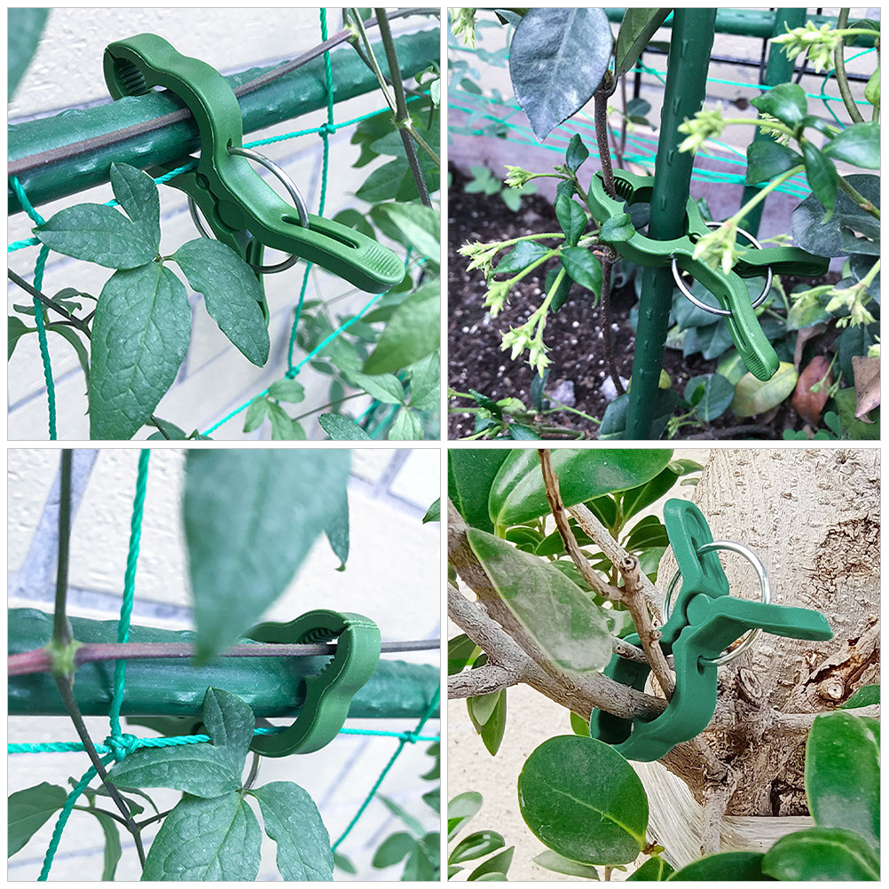 60Pcs Plant Support Clips for  - Vine Climbing Plastic review and price