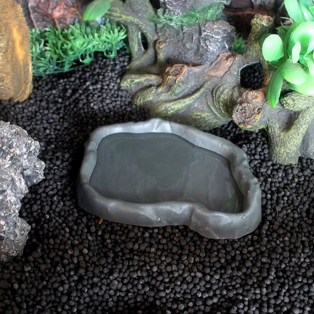 ABS Resin Reptile Feeder Bowl  - Water Dish Reptile review and price