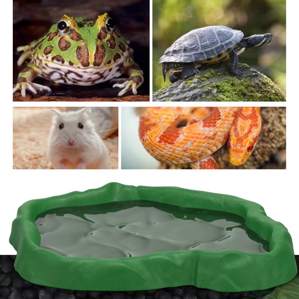 ABS Resin Reptile Feeder Bowl  - Water Dish Reptile review and price