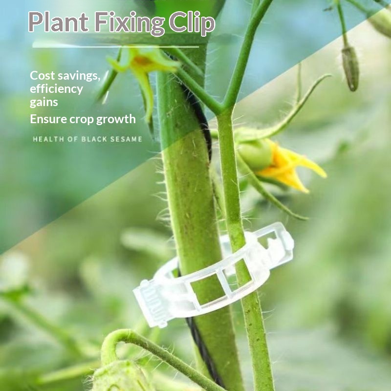 Plastic Plant Support Clips Re - Vine Climbing Plastic review and price