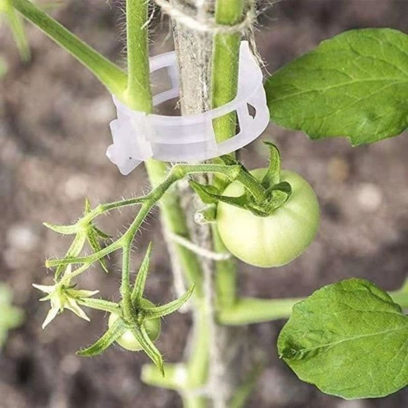Plastic Plant Support Clips Re - Vine Climbing Plastic review and price