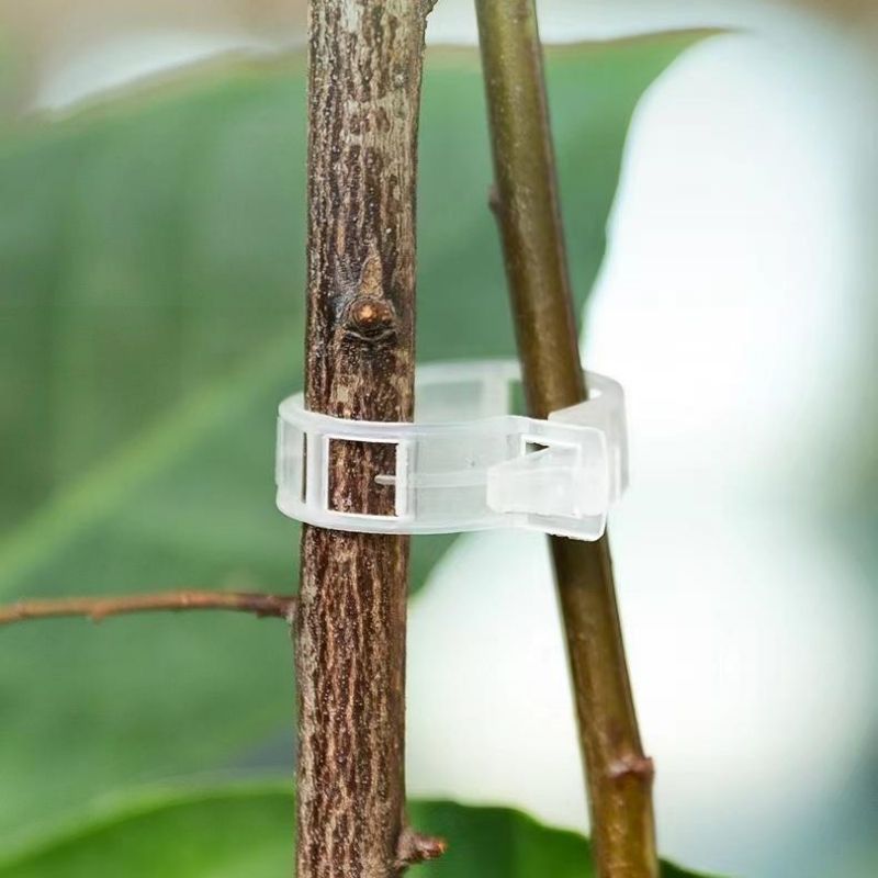 Plastic Plant Support Clips Re - Vine Climbing Plastic review and price
