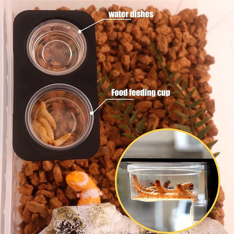Crested Gecko Food And Water F - Water Dish Reptile review and price