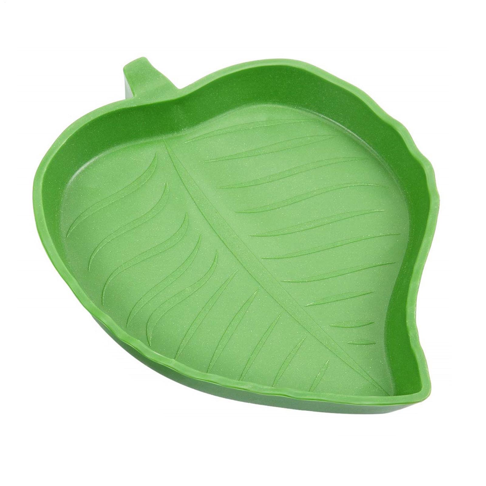 Reptile Food Water Bowl Reptil - Water Dish Reptile review and price