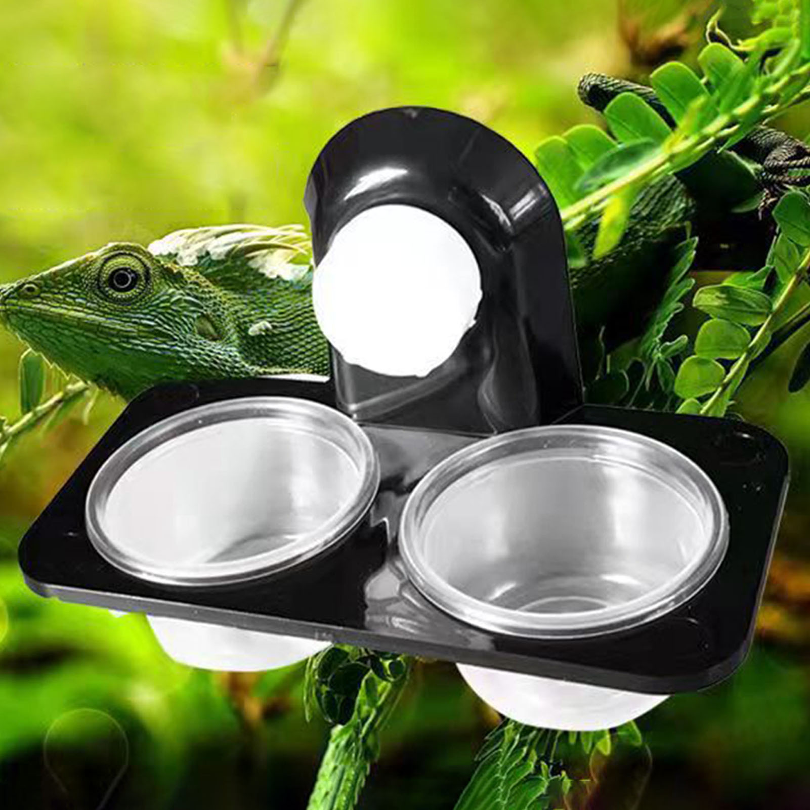 Crested Gecko Feeding Ledge Re - Water Dish Reptile review and price